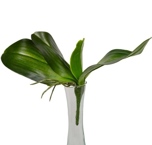 Orchidea 4 ágú élethű levél gyökérrel 18 cm