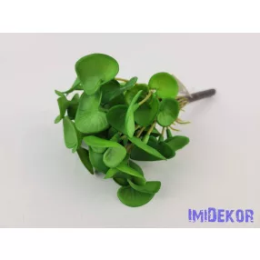 Békalencse gumis bokor 21 cm - Zöld