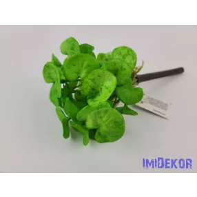 Békalencse gumis bokor 21 cm - Világos Zöld