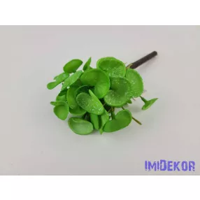 Békalencse gumis bokor 21 cm - Világos Zöld Foltos