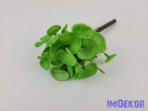 Békalencse gumis bokor 21 cm - Világos Zöld Foltos