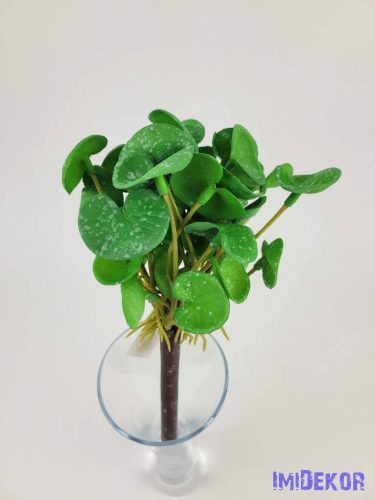 Békalencse gumis bokor 21 cm - Sötét Zöld Foltos