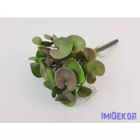 Békalencse gumis bokor 21 cm - Mályvás Zöld