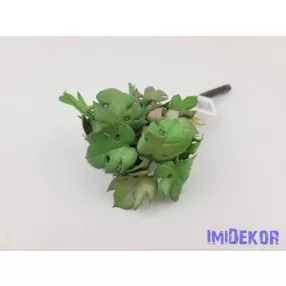 Cakkos levelű gumis bokor 21 cm - Mályvás Zöld