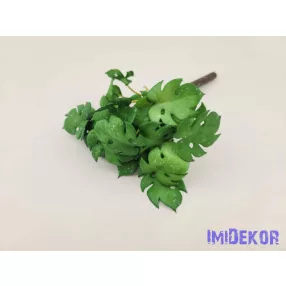 Cakkos levelű gumis bokor 21 cm - Zöld Foltos