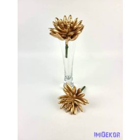 Pozsgás kövirózsa D7cm 14cm - Arany