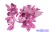 Orchidea gumis művirág fej 9 cm - Lila