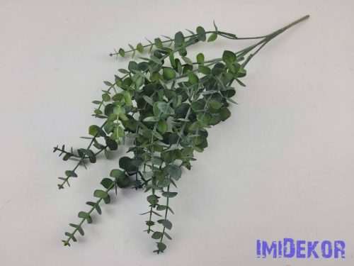 Eukaliptusz mű 5 ágú hamvas bokor 40 cm - Zöld