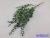 Eukaliptusz mű 5 ágú hamvas bokor 40 cm - Zöld