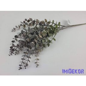 Eukaliptusz mű 5 ágú hamvas bokor 40 cm - Sötét