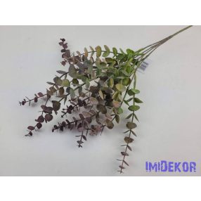 Eukaliptusz mű 5 ágú hamvas bokor 40 cm - Mályva