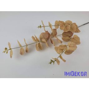 Eukaliptusz ág 75 cm - Világos Barna