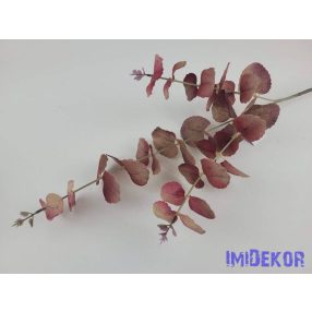 Eukaliptusz ág 75 cm - Mályvás