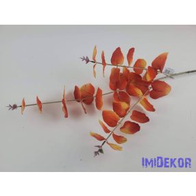 Eukaliptusz ág 75 cm - Pirosas