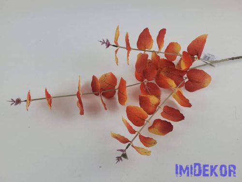Eukaliptusz ág 75 cm - Pirosas