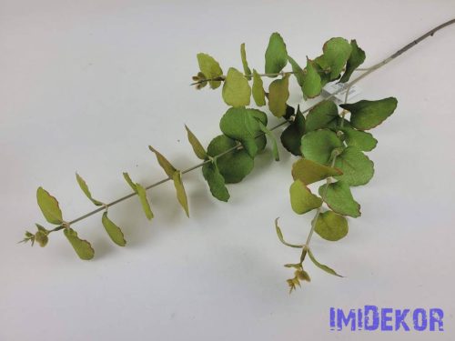 Eukaliptusz ág 75 cm - Zöld