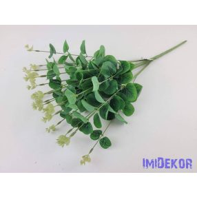 Eukaliptusz 16 ágú bokor 38cm - Zöld
