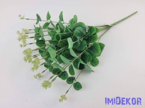Eukaliptusz 16 ágú bokor 38cm - Zöld
