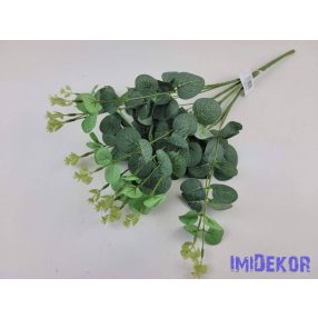 Eukaliptusz 16 ágú bokor 38cm - Hamvas