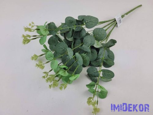 Eukaliptusz 16 ágú bokor 38cm - Hamvas