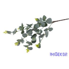 Eukaliptusz ág 67cm - Hamvas