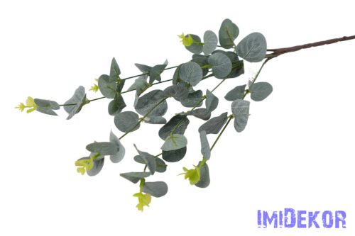 Eukaliptusz ág 67cm - Hamvas