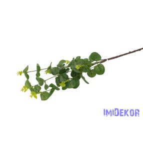 Eukaliptusz ág 67cm - Világos Zöld