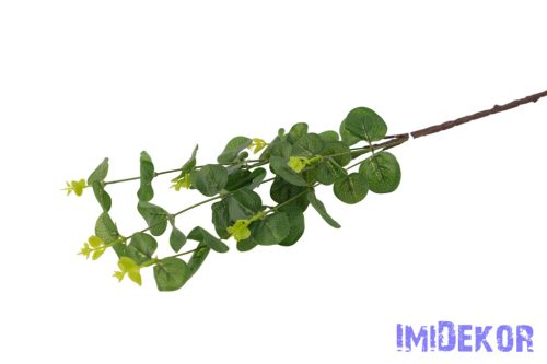Eukaliptusz ág 67cm - Világos Zöld