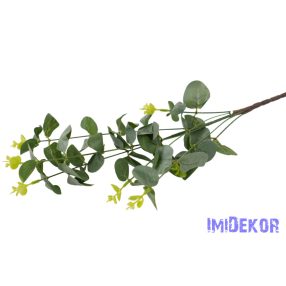 Eukaliptusz ág 67cm - Sötét Zöld