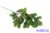 Fenyő ág tobozzal 53cm - Zöld