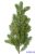 Fenyő ág 62cm - Zöld