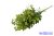 Rezgős 6 ágú műzöld bokor 36cm - Zöld