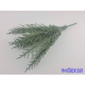 Tuja 7 ágú bokor 37cm - Hamvas