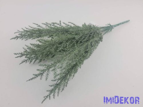 Tuja 7 ágú bokor 37cm - Hamvas