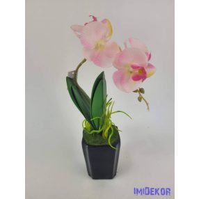 Cserepes gumi orcidea - Rózsaszín
