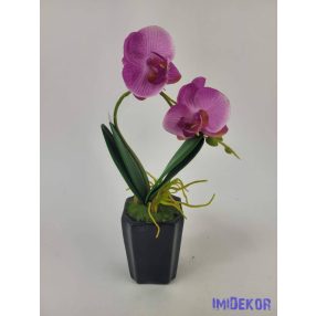 Cserepes gumi orcidea - Lila