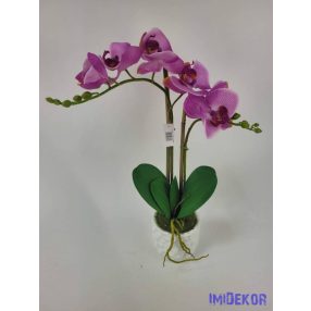 Cserepes gumi orchidea 2 ágú - Világos Lila