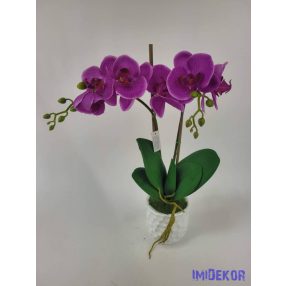 Cserepes gumi orchidea 2 ágú - Lila
