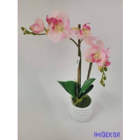 Cserepes gumi orchidea 2 ágú - Rózsaszín