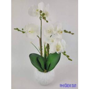 Kaspós gumi orchidea 4 ágú - Fehér