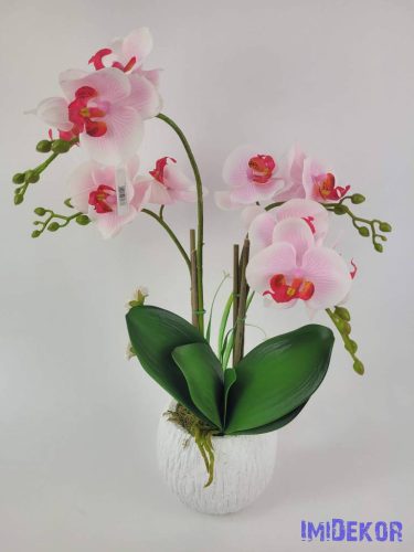 Kaspós gumi orchidea 4 ágú - Fehér-Rózsaszínes