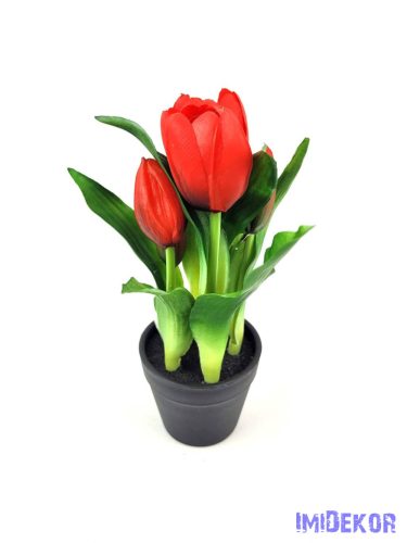 Cserepes gumi tulipán 2+3 fejes 23 cm - Piros