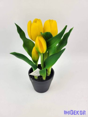 Cserepes gumi tulipán 2+3 fejes 23 cm - Sárga