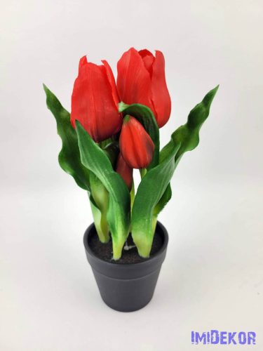 Cserepes gumi tulipán 2+3 fejes 24 cm - Piros