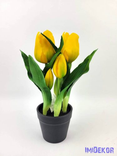 Cserepes gumi tulipán 2+3 fejes 24 cm - Sárga