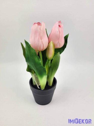Cserepes gumi tulipán 2+3 fejes 24 cm - Halvány Rózsaszín