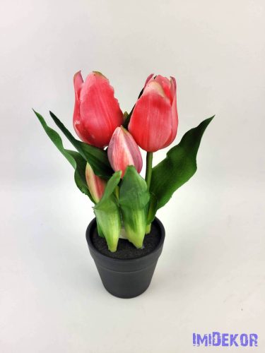 Cserepes gumi tulipán 2+3 fejes 24 cm - Sötét Rózsaszín