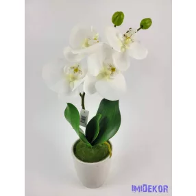 Cserepes gumi orchidea 39 cm - Fehér