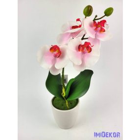 Cserepes gumi orchidea 39 cm - Fehér-Rózsaszín
