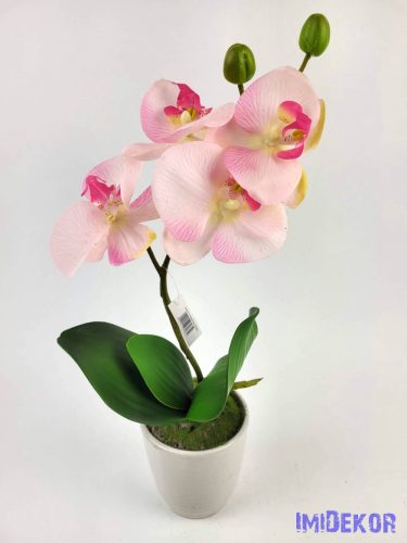 Cserepes gumi orchidea 39 cm - Rózsaszínes